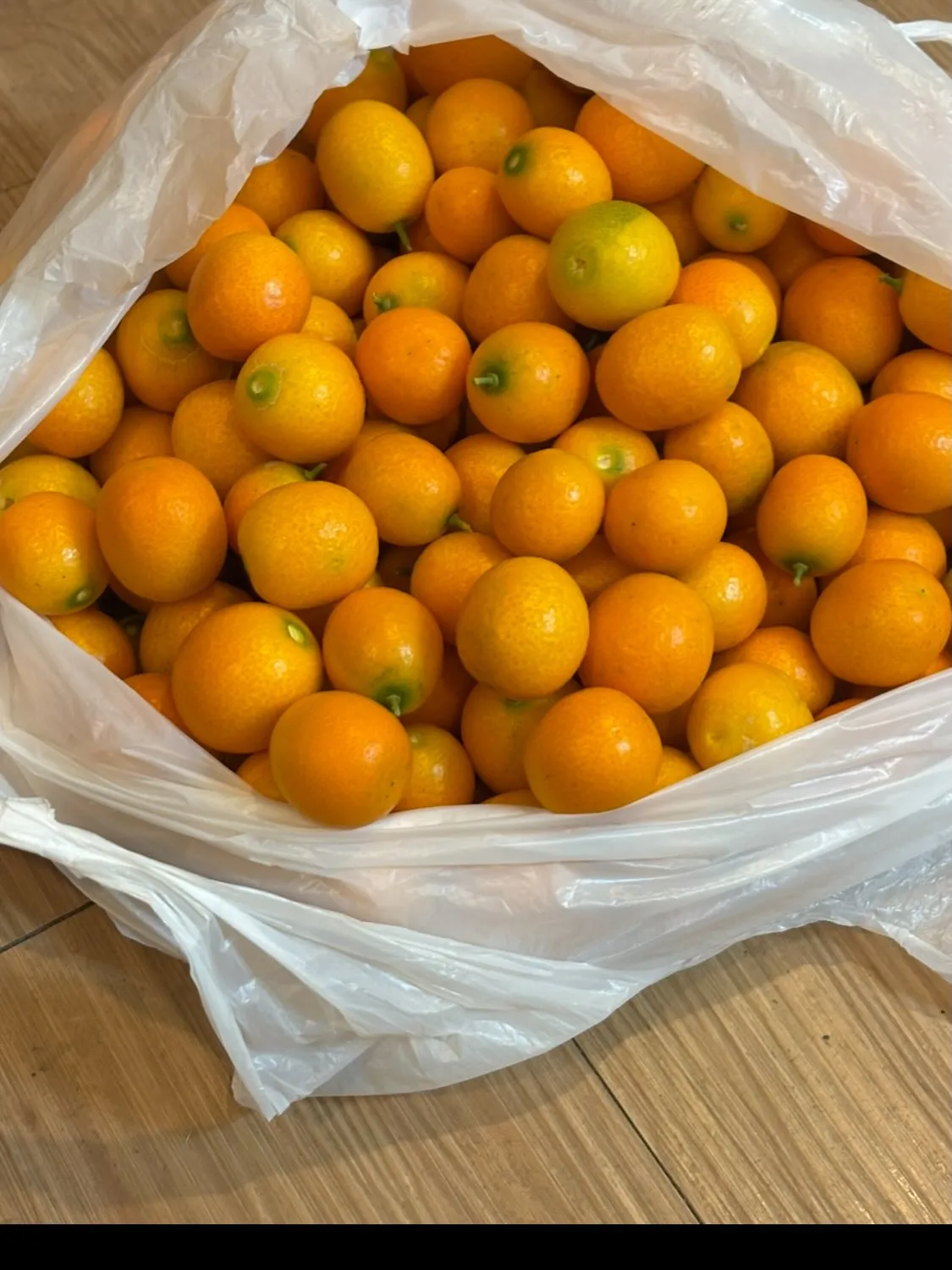 🌙 キンカンの効果と睡眠 🍊⁉️