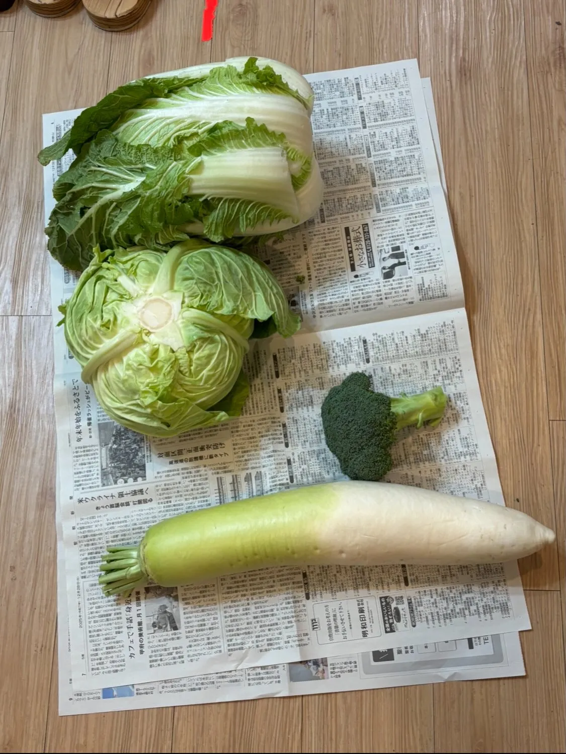 🌙 大根・白菜・キャベツと睡眠