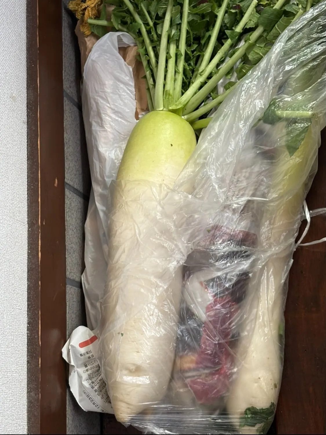 🌙 大根・白菜・キャベツと睡眠